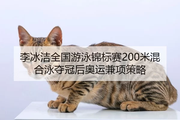 li-bing-jie-quan-guo-you-yong-jin-biao-sai-mi-hun-he-yong-duo-guan-hou-ao-yun-jian-xiang-ce-lve-2-227.jpg